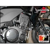 Crash Pads Honda CBF 1000 F 2010-> - Bike Design