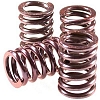 Kytkinjousisarja Kawasaki ZX-9R 1998-2003, Z 1000 2003-2008 Heavy Duty - Barnett Performance
