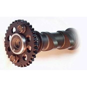 Säädettävät Nokka-akselin Rattaat Suzuki GS 1100, GS 1150, GSX 1100 - APE Raceparts