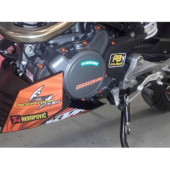 Moottorinpulttisarja Alumiinia KTM 125 Duke 2011->, RC 125 2015-> - Pro-Bolt