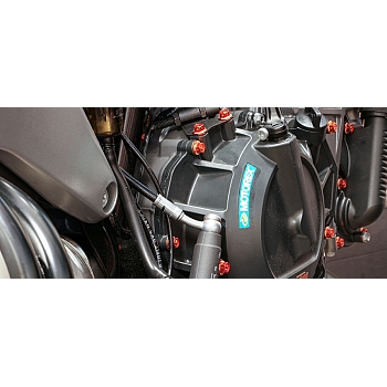 Moottorinpulttisarja Alumiinia KTM Duke 790 2018-2020, Duke 890 R 2020, Adventure 790 / R 2019-2020 RACE SPECS - Pro-Bolt
