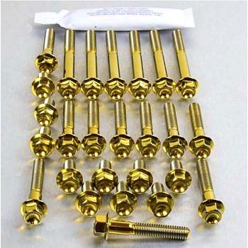 Moottorinpulttisarja Titaania Suzuki Hayabusa 1999-2007 Hex - Pro-Bolt