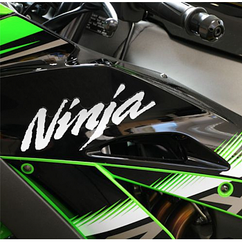 Katteenpulttisarja Titaania Kawasaki ZX-10R 2016-> - Pro-Bolt