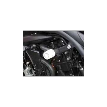 Crash Pads Triumph Speed Triple 2008-2010 Bike Design