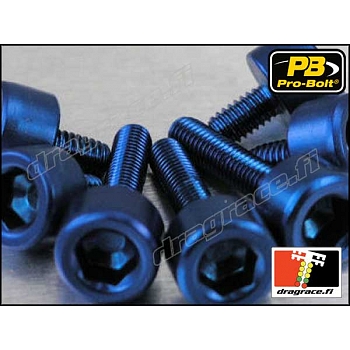 Tankinkorkinpulttisarja Honda CBR 1100/1000/900/600, VFR 800/750, CB 1300/1000/900/600, VTRym. Alumiinia - Pro-Bolt