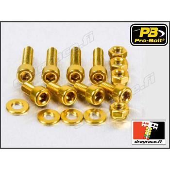 Tankinkorkinpulttisarja Suzuki GSF 1200 Bandit 1996-2000, GSF 1200 Bandit S 1996-2000 Alumiinia - Pro-Bolt
