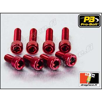 Tankinkorkinpulttisarja Suzuki Hayabusa 1999-2007, GSX-R 1000/750/600, GSF 1200/650/600, GSX, RF, SV ym. Alumiinia - Pro-Bolt