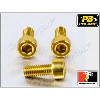 Tankinkorkinpulttisarja Yamaha XVS 1100 Drag Star 1998-2000 Alumiinia - Pro-Bolt